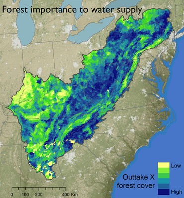 Forest importance to water supply