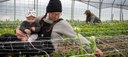 Baby and mom working in a hoop house