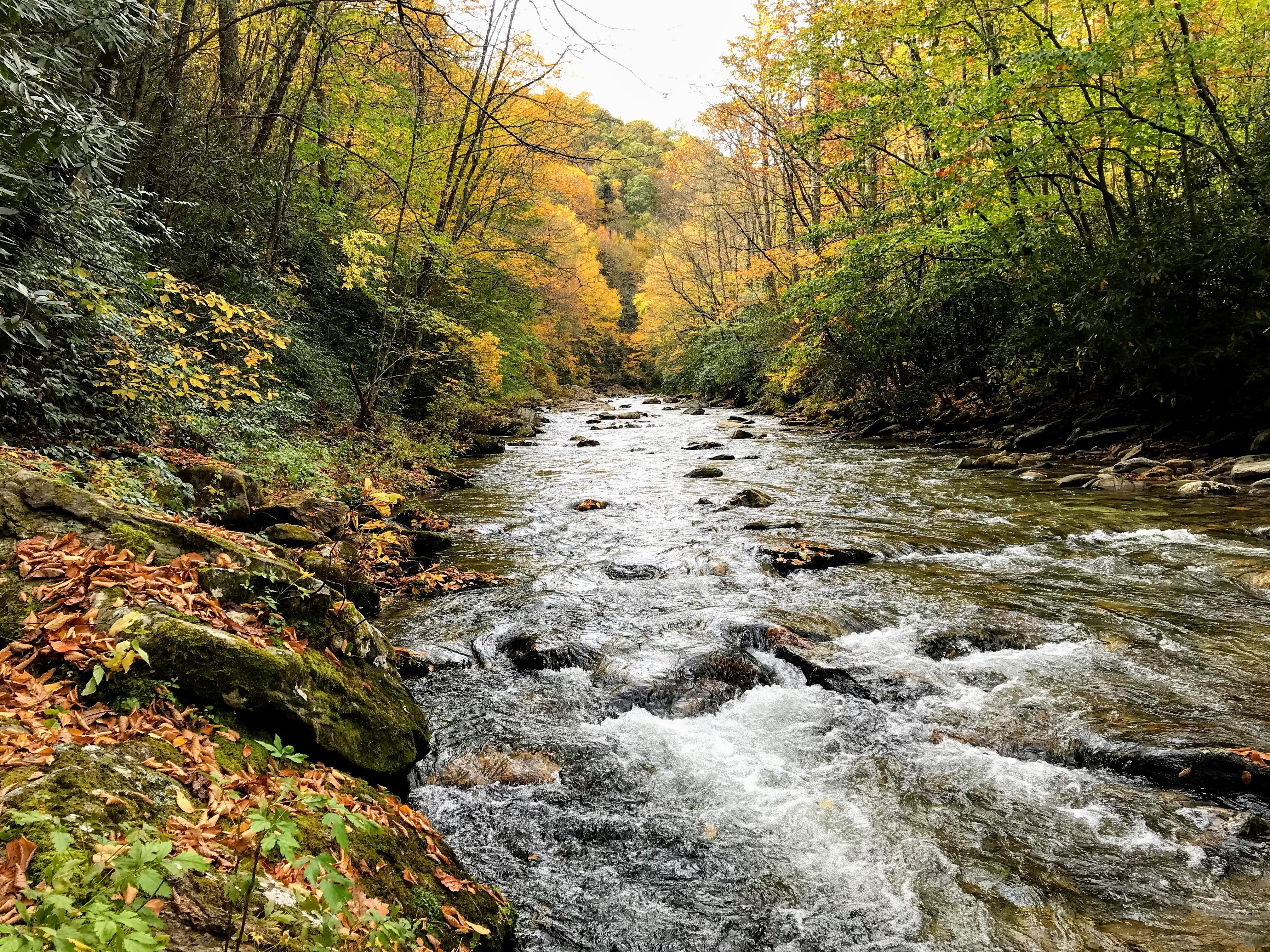 Riparian Buffers story photo