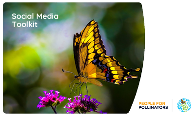 People For Pollinators Social Media Toolkit