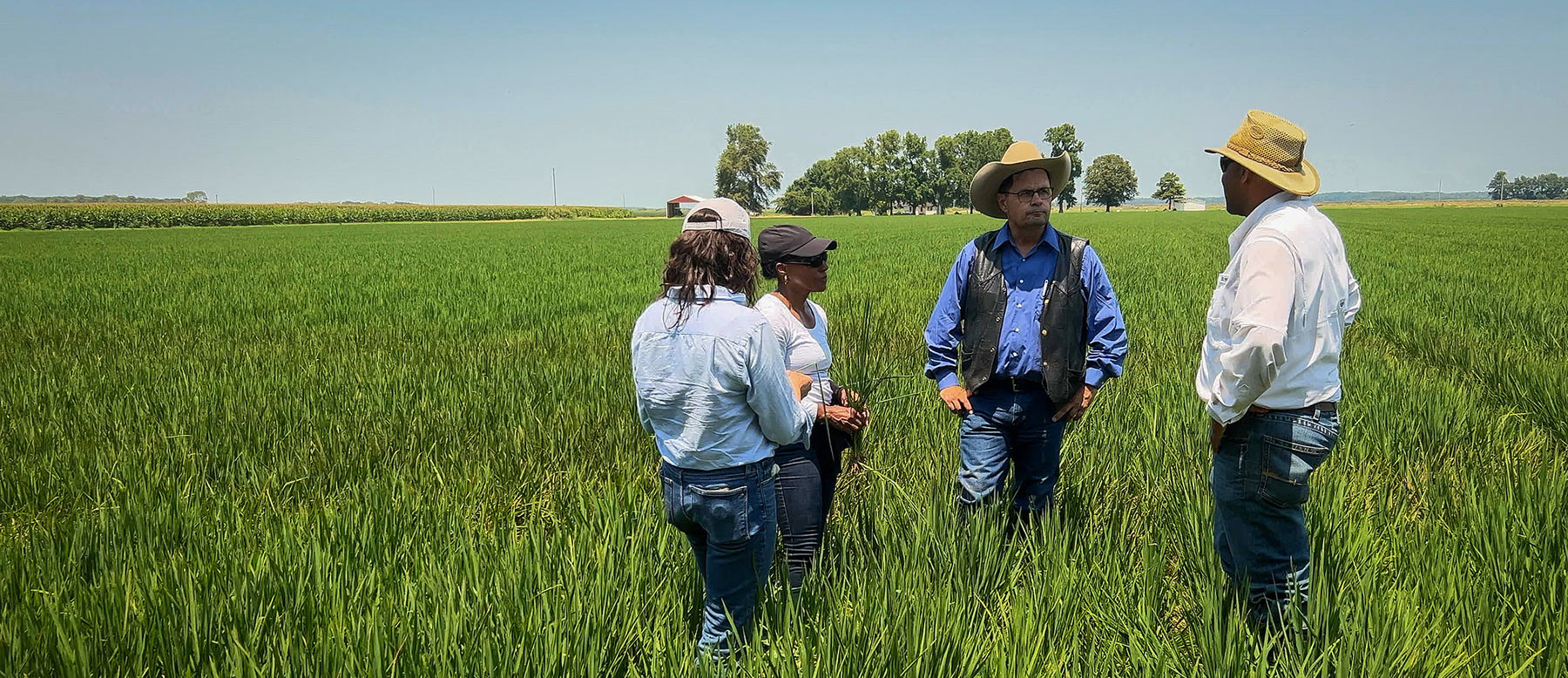 Group in Field