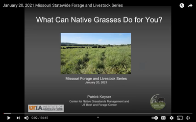 Planting Native Grasses: Missouri Forage and Livestock Series