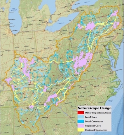 NatureScape Map