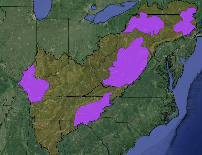 Regional Cores