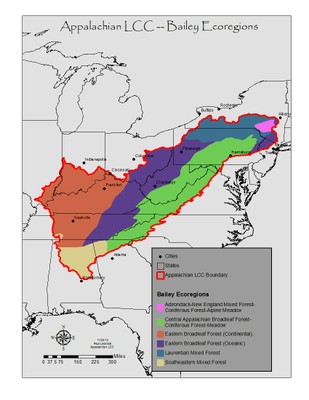 Bailey Ecoregion