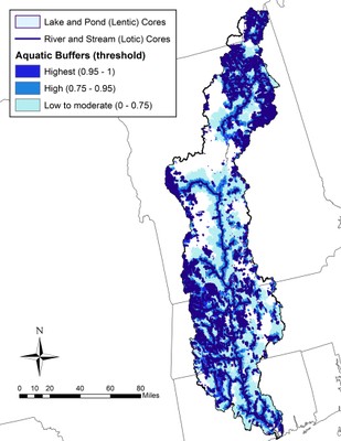 Aquatic Core Network and Buffers