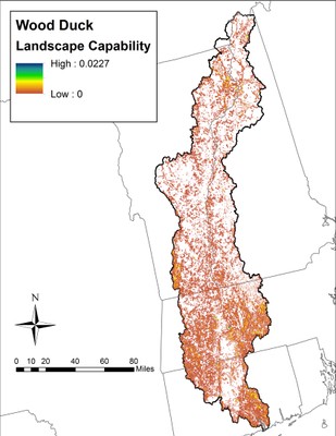 Landscape Capability for Wood Duck