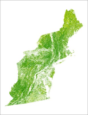 Forest Above-ground Biomass, 2012, Northeast