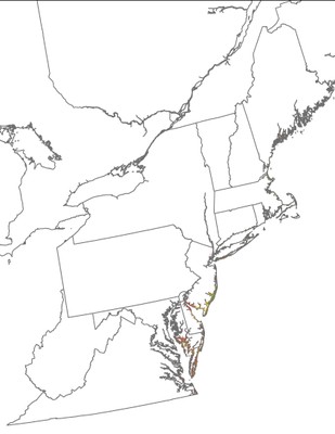 Landscape Capability for Saltmarsh Sparrow, Version 2.0, Northeast