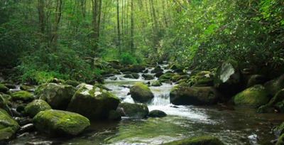 Demonstrating Value of Riparian Restoration Tool to Riparian Forest Buffer Advisory Committee