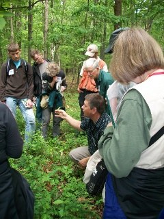 Online course and conference offered to Virginia forest landowners