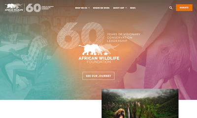 African Wildlife Foundation