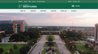 University of South Florida