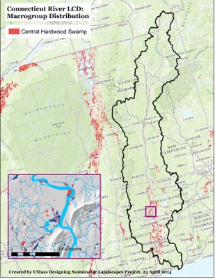 Central Hardwood Swamp