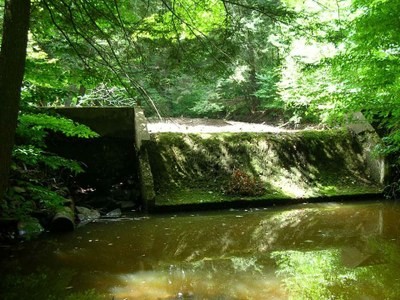 Removal of Two Dams in the Wetmore Run Watershed, Potter County, PA