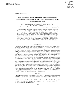 Gray et al 2002.pdf