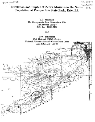 Masteller Schloesser 1991.pdf