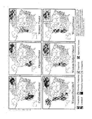 Mussel Map.pdf