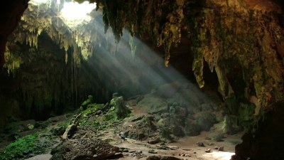 Fern Cave National Wildlife Refuge in Alabama.