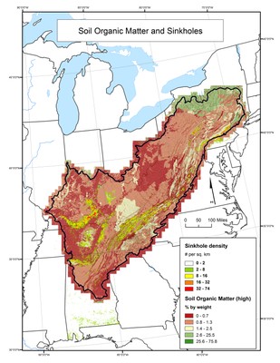 Soil Organic Matter and Sinkholes