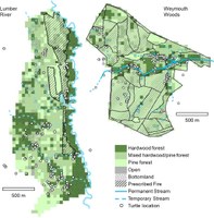 Overwintering behavior reduces mortality for a terrestrial turtle in forests managed with prescribed fire