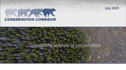 Conservation Corridor July 2025 Newsletter