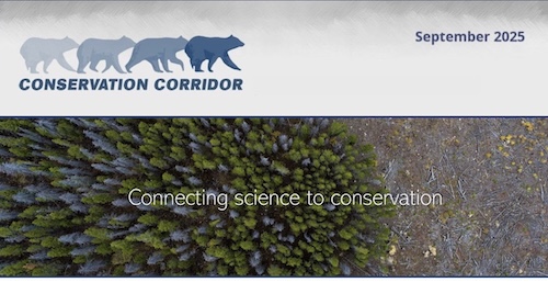 Conservation Corridor September 2025 Newsletter